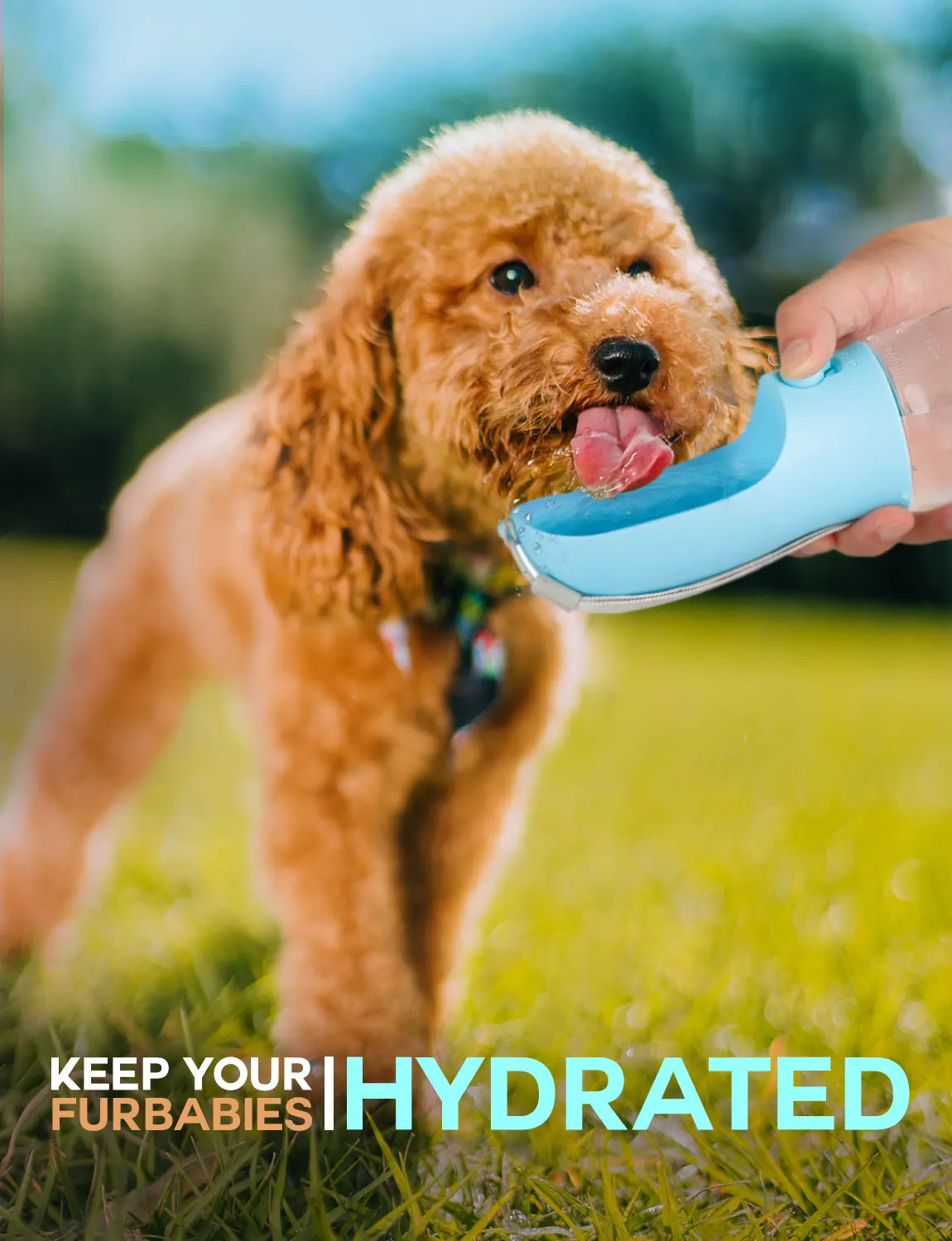 3-in-1 Portable Pet Water Bottle - 20oz Leak-Proof Container with Integrated Poop Bag Dispenser for Travel, Hiking, and Outdoor Activities
